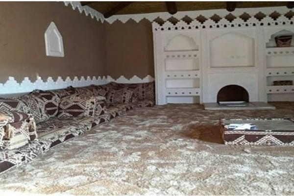 مشبات
